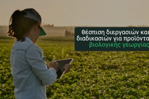 Εταιρεία-terracert-:-«Είμαστε-στη-διάθεση-κάθε-διοικητικού-και-δικαστικού-ελέγχου»