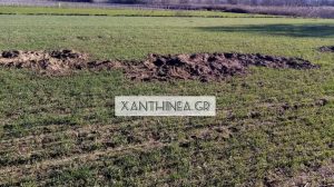 Αποζημίωση-για-τις-ζημιές-από-αγριογούρουνα