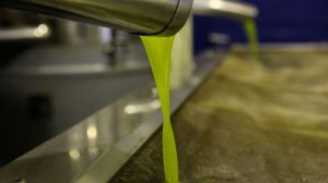 Ελαιόλαδο:-Τιμές-σε-ελεύθερη-πτώση-–-Πόσο-κοστίζει-το-λίτρο;