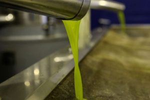 Ελαιόλαδο:-Τιμές-σε-ελεύθερη-πτώση-–-Πόσο-κοστίζει-το-λίτρο;