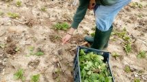 «Χωρίς-πληρωμές-από-τον-ΟΠΕΚΕΠΕ,-στο-χείλος-της-οικονομικής-ασφυξίας»
