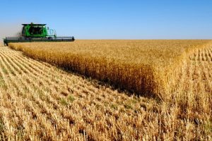 Αγροτικά:-Σε-κίνδυνο-οι-αγρότες-λόγω-παρατεταμένης-ξηρασίας