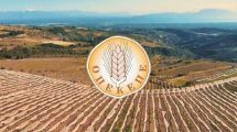 Μιχάλης-Κατρίνης:-”Το-σκάνδαλο-του-ΟΠΕΚΕΠΕ-επιτομή-της-αδιαφάνειας-και-της-διαφθοράς-του-επιτελικού-κράτους”.