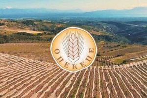 Μιχάλης-Κατρίνης:-”Το-σκάνδαλο-του-ΟΠΕΚΕΠΕ-επιτομή-της-αδιαφάνειας-και-της-διαφθοράς-του-επιτελικού-κράτους”.