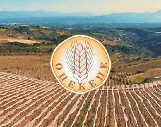 Μιχάλης-Κατρίνης:-”Το-σκάνδαλο-του-ΟΠΕΚΕΠΕ-επιτομή-της-αδιαφάνειας-και-της-διαφθοράς-του-επιτελικού-κράτους”.