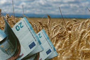 Νέα-Αριστερά-:-«Η-κυβέρνηση-Μητσοτάκη-σπρώχνει-τους-αγρότες-στη-χρεοκοπία».-Μετάθεση-της-προκαταβολής-του-τσεκ-για-τον-Νοέμβριο