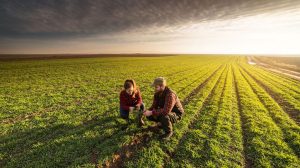 Οφέλη-για-Παραγωγούς,-Ερευνητές-&-Γεωπόνους-από-το-Έργο-«Γεωργία-με-Ευφυΐα»