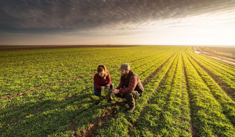 Οφέλη-για-Παραγωγούς,-Ερευνητές-&-Γεωπόνους-από-το-Έργο-«Γεωργία-με-Ευφυΐα»