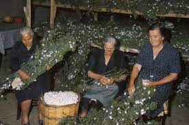 Σάκης-Αρναούτογλου-προς-Κομισιόν:-«Η-Κυβέρνηση-αφήνει-τους-σηροτρόφους-του-Έβρου-να-πνίγονται-στο-κουκούλι-της-αδιαφορίας»