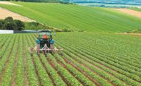 Κομοτηνή:-Λουκέτο-για-48-ώρες-από-την-ΑΑΔΕ-σε-Κέντρο-Υποβολής-Δηλώσεων-(ΚΥΔ)