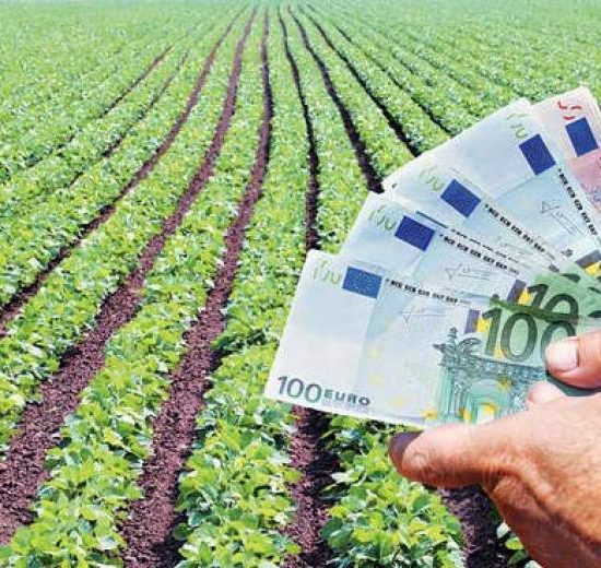 Αγροτικά:-Εντός-Νοεμβρίου-η-πληρωμή-Βασικής-και-του-Μέτρου-23-Μετά-έρχονται-οι-αποζημιώσεις-του-ΕΛΓΑ