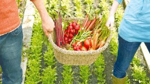 ΔΠΘ:-Ημερίδα-στην-Ξάνθη-με-θέμα-«Αγροδιατροφή-και-Ψηφιακή-Καινοτομία:-Το-ΔΠΘ.-ως-καταλύτης-ανάπτυξης»