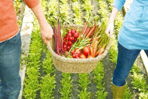 ΔΠΘ:-Ημερίδα-στην-Ξάνθη-με-θέμα-«Αγροδιατροφή-και-Ψηφιακή-Καινοτομία:-Το-ΔΠΘ.-ως-καταλύτης-ανάπτυξης»