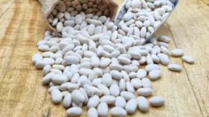 Τα-φημισμένα-φασόλια-Τυχερού-Έβρου,-αποτελούν-super-food,-σύμφωνα-με-έρευνα-του-Πανεπιστημίου-Θεσσαλίας