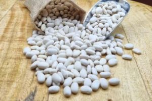 Τα-φημισμένα-φασόλια-Τυχερού-Έβρου,-αποτελούν-super-food,-σύμφωνα-με-έρευνα-του-Πανεπιστημίου-Θεσσαλίας