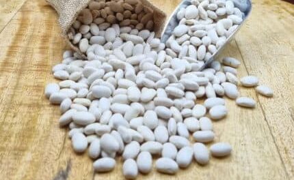 Τα-φημισμένα-φασόλια-Τυχερού-Έβρου,-αποτελούν-super-food,-σύμφωνα-με-έρευνα-του-Πανεπιστημίου-Θεσσαλίας