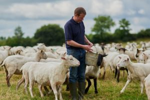 Το-ΑΚΚΕΛ-αποκαλύπτει-την-αλήθεια-για-την-ευλογιά-των-προβάτων-και-τον-εμβολιασμό-–-Διάψευση-της-δήλωσης-Τσιάρα