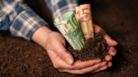 ΟΠΕΚΕΠΕ:-Πότε-έρχεται-η-πληρωμή-για-την-προκαταβολή-της-βασικής-ενίσχυσης-έτους-2025