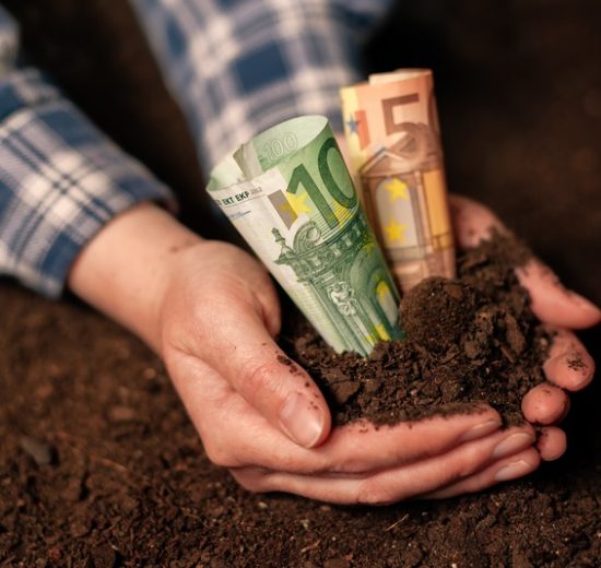 ΟΠΕΚΕΠΕ:-Πότε-έρχεται-η-πληρωμή-για-την-προκαταβολή-της-βασικής-ενίσχυσης-έτους-2025