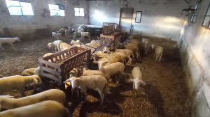 Παύλος-Χρηστίδης:-Αντί-να-δώσετε-λεφτά-στους-αγρότες,-τους-παίρνετε-κιόλας