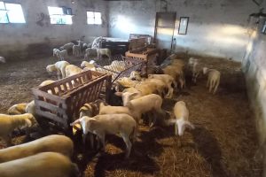 Παύλος-Χρηστίδης:-Αντί-να-δώσετε-λεφτά-στους-αγρότες,-τους-παίρνετε-κιόλας