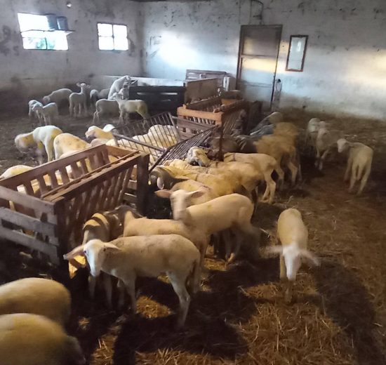 Παύλος-Χρηστίδης:-Αντί-να-δώσετε-λεφτά-στους-αγρότες,-τους-παίρνετε-κιόλας