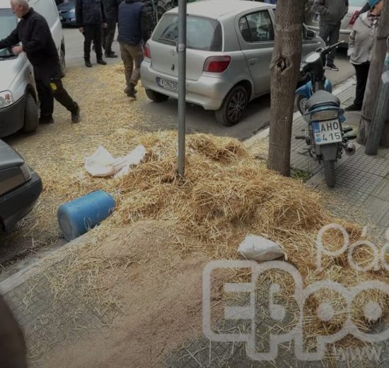 Έριξαν-σανό-στα-βουλευτικά-γραφεία-του-Έβρου-οι-αγρότες