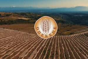 ΟΠΕΚΕΠΕ:-Σε-ισχύ-η-ψηφιακή-εφαρμογή-για-αγροτεμάχια-χωρίς-ΚΑΕΚ