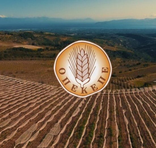 ΟΠΕΚΕΠΕ:-Σε-ισχύ-η-ψηφιακή-εφαρμογή-για-αγροτεμάχια-χωρίς-ΚΑΕΚ