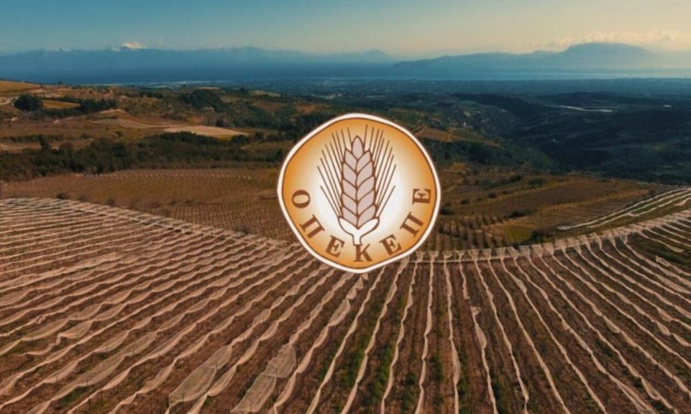 ΟΠΕΚΕΠΕ:-Σε-ισχύ-η-ψηφιακή-εφαρμογή-για-αγροτεμάχια-χωρίς-ΚΑΕΚ