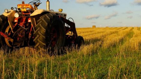 Στον-Εισαγγελέα-οι-πρώτες-50-μαζικές-διαγραφές-αγρών-στο-Ε9-–-Λίστα-με-3.000-«ιδιοκτήτες»-για-επιδοτήσεις-ΟΠΕΚΕΠΕ