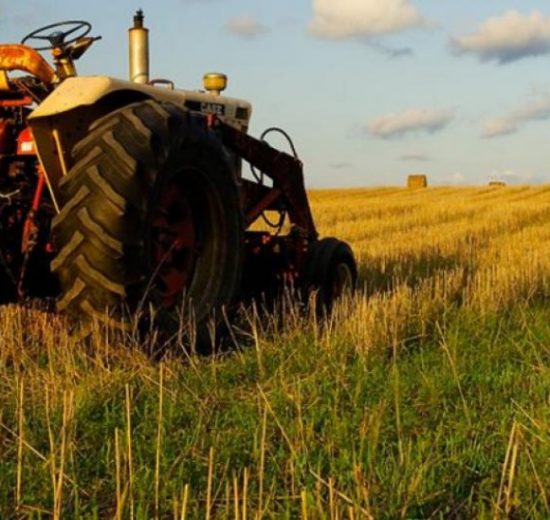 Στον-Εισαγγελέα-οι-πρώτες-50-μαζικές-διαγραφές-αγρών-στο-Ε9-–-Λίστα-με-3.000-«ιδιοκτήτες»-για-επιδοτήσεις-ΟΠΕΚΕΠΕ