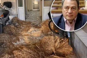 Ευριπίδης-Στυλιανίδης-:-«Δεν-πρέπει-να-αφήσουμε-την-αγροτιά-να-εγκλωβιστεί-σε-περίεργες-σκοπιμότητες,-που-υπονομεύουν-τον-πρωτογενή-τομέα-και-την-ελληνική-περιφέρεια»