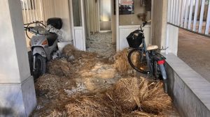 ΔΕΕΠ-ΡΟΔΟΠΗΣ-ΝΔ-:-¨”Ο-αγώνας-τον-αγροτών-για-την-υπεράσπιση-των-δίκαιων-αιτημάτων-τους,-δε-μπορεί-και-δεν-πρέπει-να-έχει-σχέση-με-κινήσεις-εντυπωσιασμού,-χωρίς-πολιτική-ανταπόκριση”