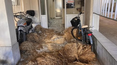 ΔΕΕΠ-ΡΟΔΟΠΗΣ-ΝΔ-:-¨”Ο-αγώνας-τον-αγροτών-για-την-υπεράσπιση-των-δίκαιων-αιτημάτων-τους,-δε-μπορεί-και-δεν-πρέπει-να-έχει-σχέση-με-κινήσεις-εντυπωσιασμού,-χωρίς-πολιτική-ανταπόκριση”