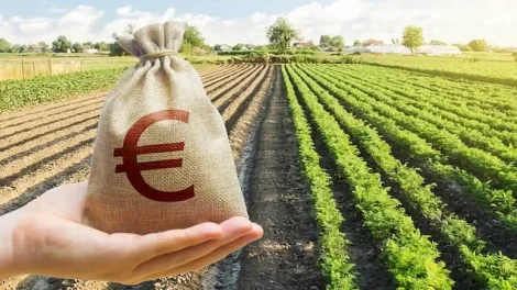 Αγροτικά:-Έρχονται-ενισχύσεις-“de-minimis”-για-τις-ζημιές-από-παγετό,-έως-1.200-ευρώ-το-στρέμμα