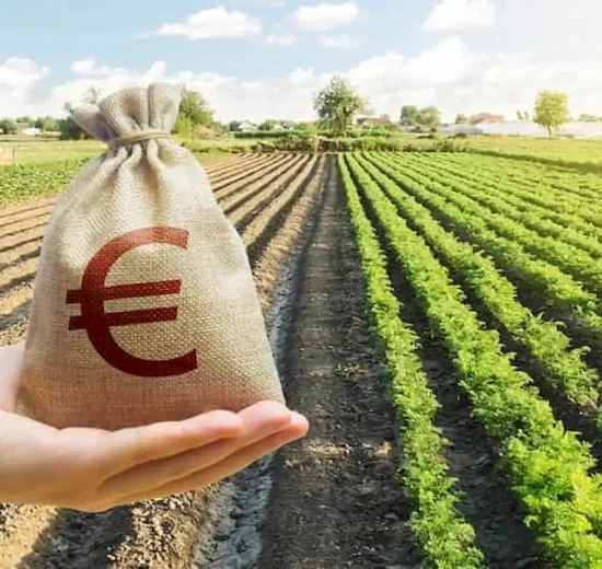 Αγροτικά:-Έρχονται-ενισχύσεις-“de-minimis”-για-τις-ζημιές-από-παγετό,-έως-1.200-ευρώ-το-στρέμμα