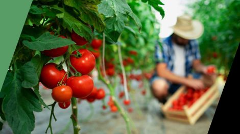 Παύλος-Χρηστίδης:-Αν-εγκαταλείψουν-οι-αγρότες,-τι-θα-γίνει-η-Ελλάδα;-Θα-τα-εισάγουμε-όλα;