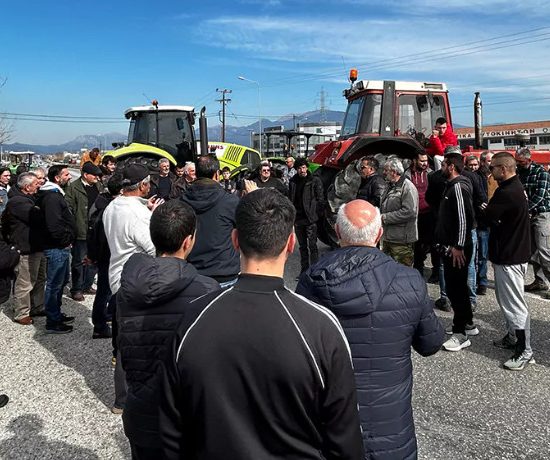 ΜΙΧΑΛΗΣ-ΚΑΤΡΙΝΗΣ-:-«Οι-αγρότες-δεν-χρειάζονται-προσχηματικές-επιτροπές,-αλλά-λύσεις»