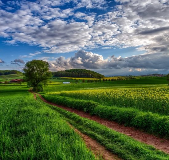 Δορυφόροι,-Κτηματολόγιο-και-ai:-Η-νέα-εποχή-στις-αγροτικές-ενισχύσεις