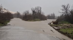 Καταγραφή-ζημιών-από-κλιμάκιο-του-ΕΛΓΑ-στις-πληγείσες-αγροτικές-περιοχές-της-ΠΕ-Ροδόπης