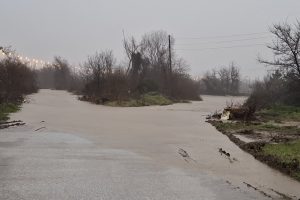 Καταγραφή-ζημιών-από-κλιμάκιο-του-ΕΛΓΑ-στις-πληγείσες-αγροτικές-περιοχές-της-ΠΕ-Ροδόπης