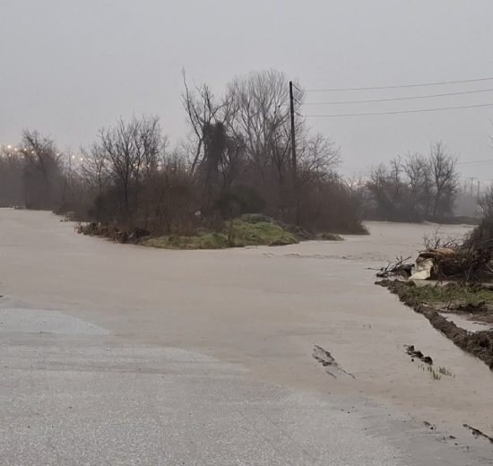 Καταγραφή-ζημιών-από-κλιμάκιο-του-ΕΛΓΑ-στις-πληγείσες-αγροτικές-περιοχές-της-ΠΕ-Ροδόπης