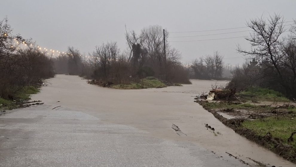 Καταγραφή-ζημιών-από-κλιμάκιο-του-ΕΛΓΑ-στις-πληγείσες-αγροτικές-περιοχές-της-ΠΕ-Ροδόπης