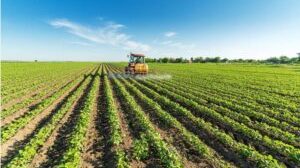 Νέες-ρυθμίσεις-για-τους-αγρότες:-Παράταση-έως-31-Δεκεμβρίου-για-χρηματοδότηση-και-αγροτικά-ακίνητα