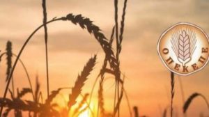 ΟΠΕΚΕΠΕ-–-Πόρισμα-ΝΔ:-Δεν-στοιχειοθετούνται-ποινικές-ευθύνες-πολιτικών-προσώπων