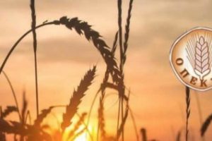 ΟΠΕΚΕΠΕ-–-Πόρισμα-ΝΔ:-Δεν-στοιχειοθετούνται-ποινικές-ευθύνες-πολιτικών-προσώπων