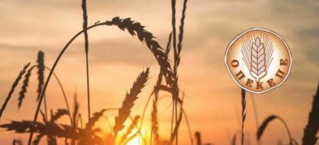 ΟΠΕΚΕΠΕ-–-Πόρισμα-ΝΔ:-Δεν-στοιχειοθετούνται-ποινικές-ευθύνες-πολιτικών-προσώπων