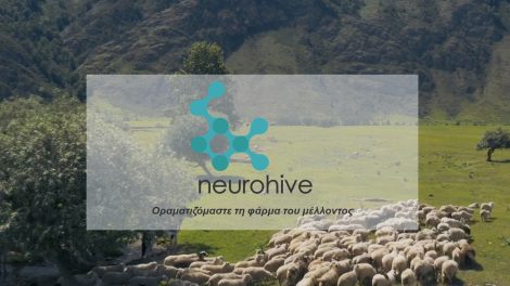 Η-neurohive-επεκτείνει-το-αποτύπωμά-της-στην-ψηφιακή-κτηνοτροφία-–-Συνεργασία-με-πάνω-από-60-φάρμες-αιγοπροβάτων