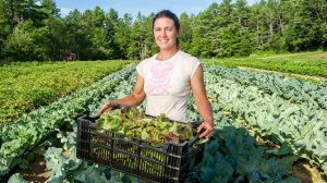 Απάντηση-ee-σε-ερώτηση-Δ.-Τσιόδρα:-205-εκατομμύρια-ευρώ-για-την-προώθηση-ευρωπαϊκών-αγροδιατροφικών-προϊόντων